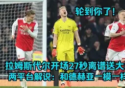 半岛体育APP-奥萨苏纳足球