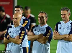 半岛体育APP-西班牙瑞士阵容