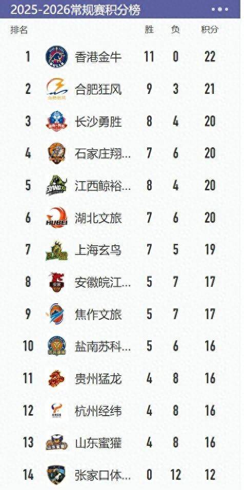 湖北队在比赛中表现非常出色,获得胜利
